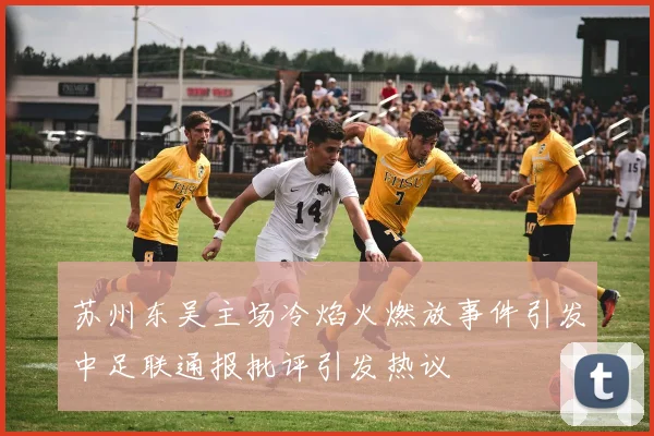 苏州东吴主场冷焰火燃放事件引发中足联通报批评引发热议